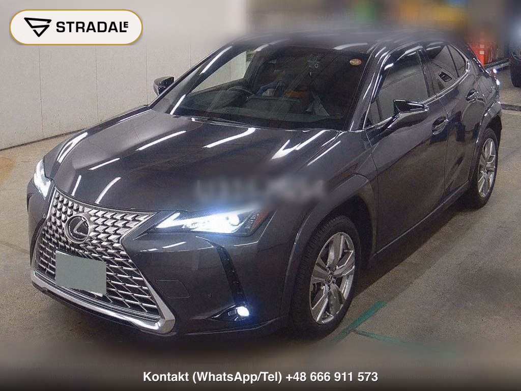 LEXUS UX 4WD UX250H GRACEFUL EXPLORER, miniaturka 5