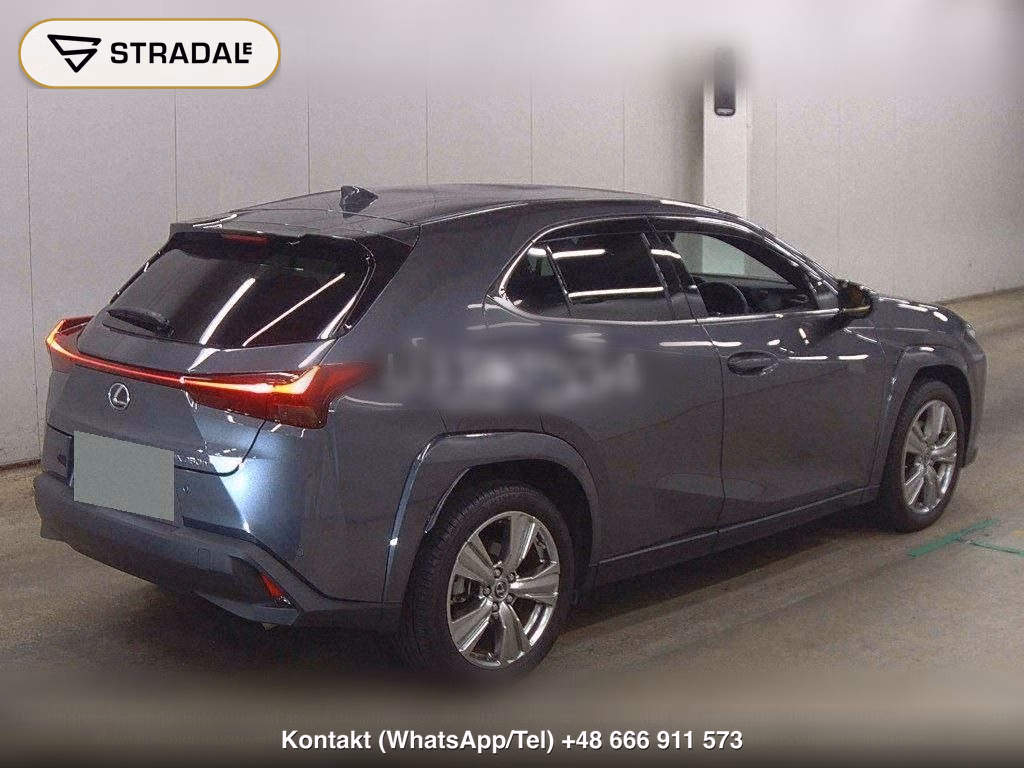 LEXUS UX 4WD UX250H GRACEFUL EXPLORER, miniaturka 6