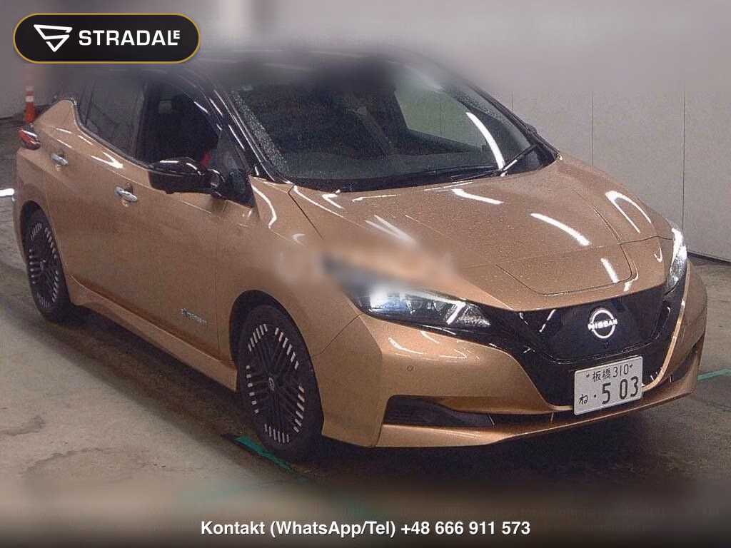 NISSAN LEAF X V SELECTION, miniaturka 2