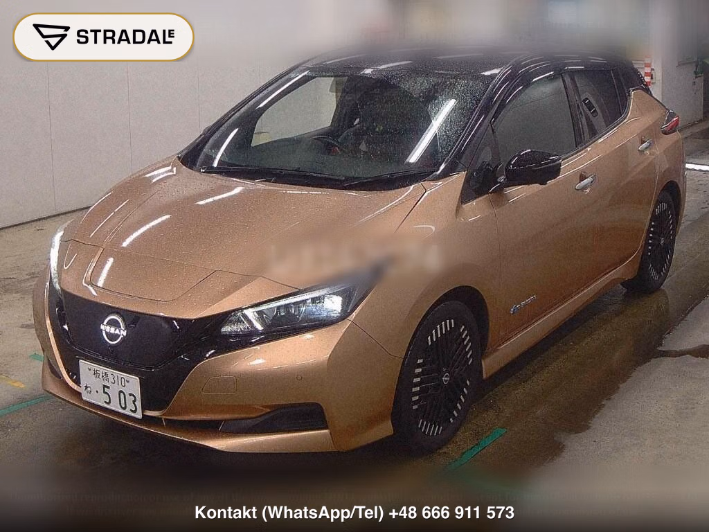 NISSAN LEAF X V SELECTION, miniaturka 5