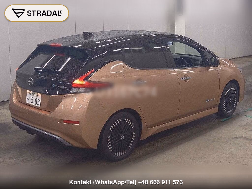 NISSAN LEAF X V SELECTION, miniaturka 6