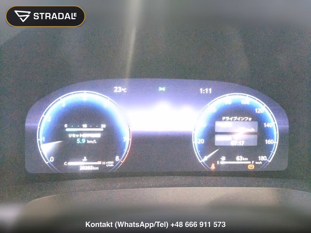 TOYOTA ALPHARD Z, miniaturka 7