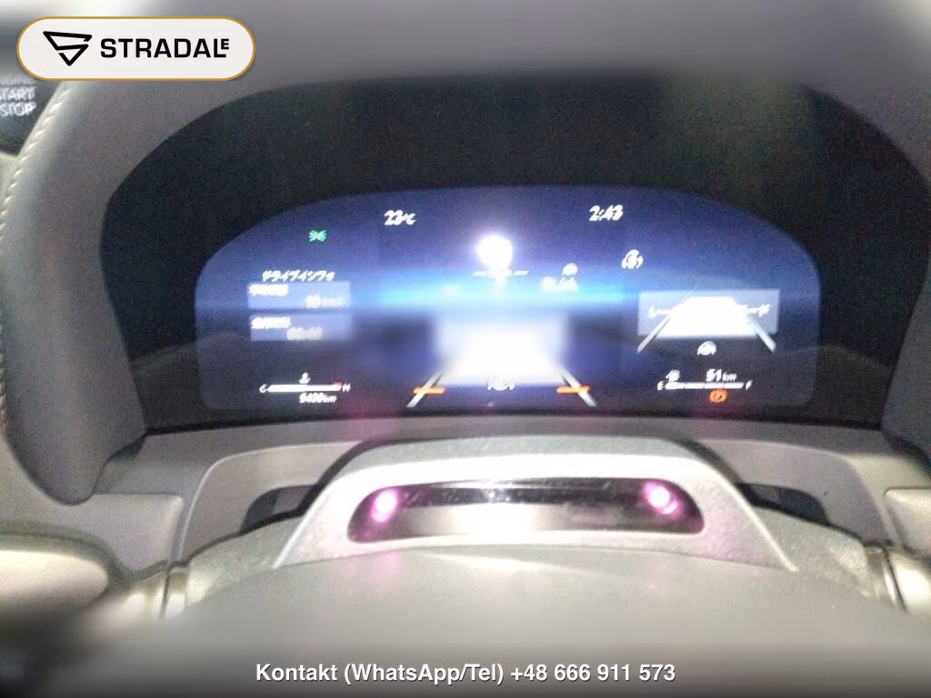 TOYOTA ALPHARD Z, miniaturka 7