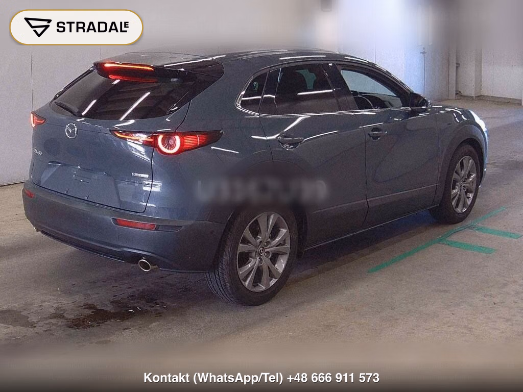MAZDA CX-30 20S PROACTIVE TOURING SELECTION, miniaturka 6