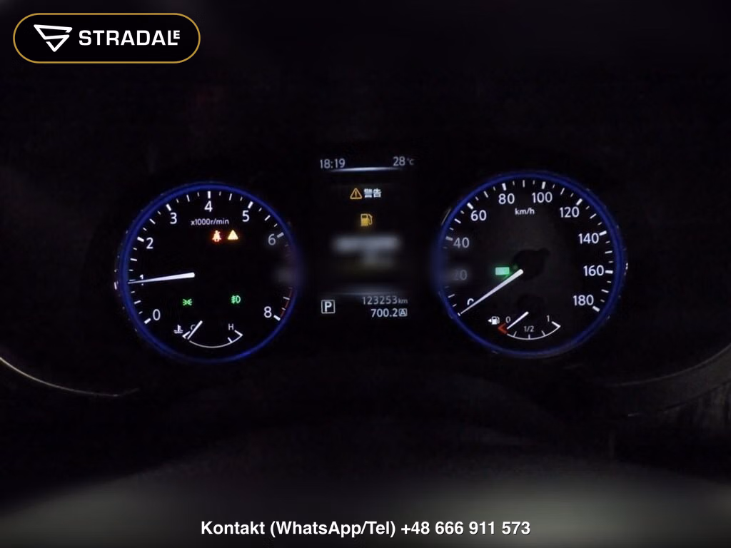 NISSAN ELGRAND 5D 250 HIGHWAY STAR PREMIUM, miniaturka 7