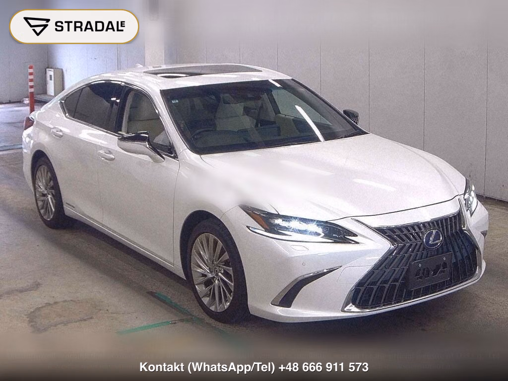 LEXUS ES ES300H VERSION L, miniaturka 2