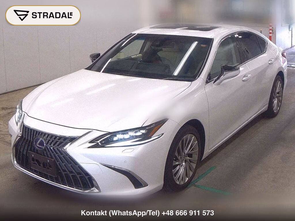 LEXUS ES ES300H VERSION L, miniaturka 5