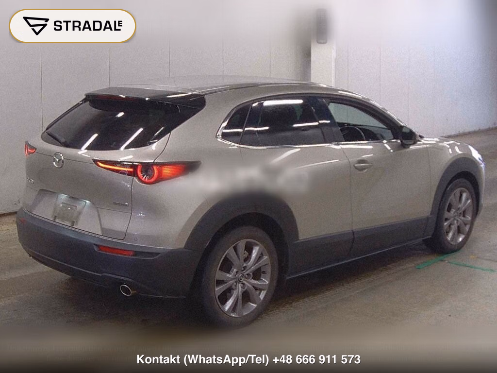 MAZDA CX-30 XD PROACTIVE TOURING SELECTION, miniaturka 6