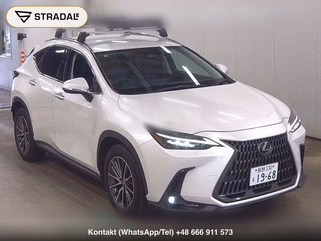 LEXUS NX 4WD NX250 VERSION L, miniaturka 2