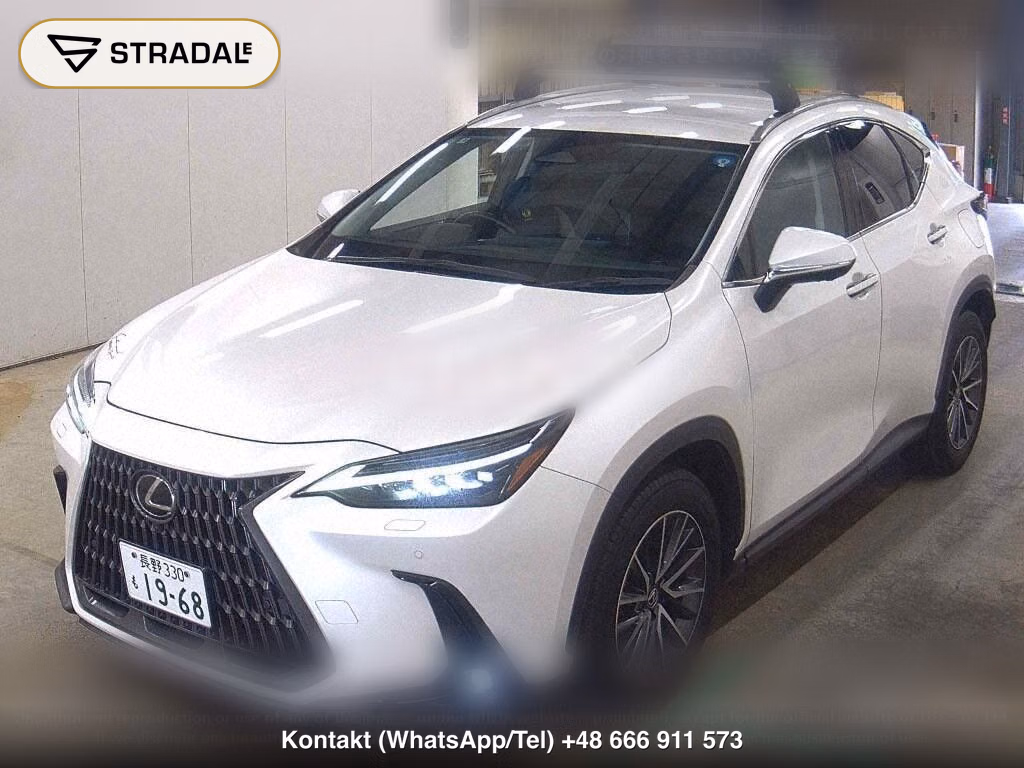 LEXUS NX 4WD NX250 VERSION L, miniaturka 5