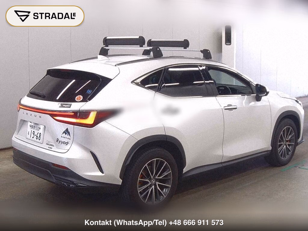 LEXUS NX 4WD NX250 VERSION L, miniaturka 6