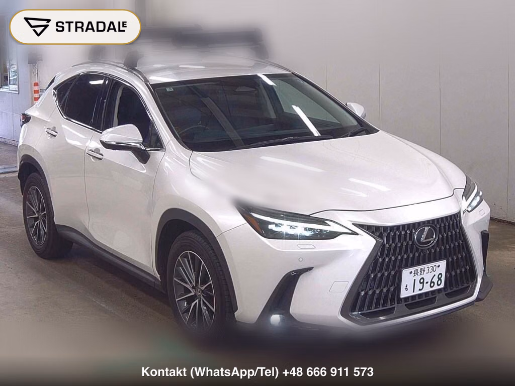 LEXUS NX 4WD NX250 VERSION L 2023, aukcja z Japonii, zdjęcie 1