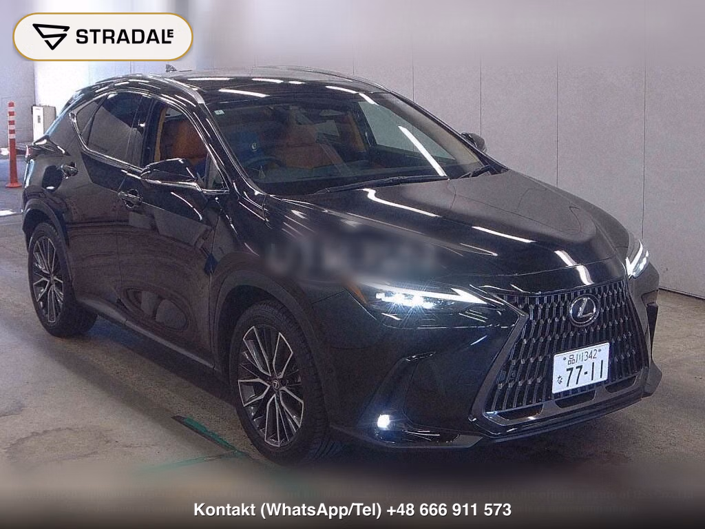 LEXUS NX NX250 VERSION L, miniaturka 2
