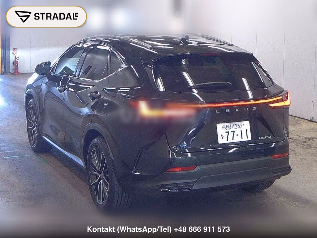 LEXUS NX NX250 VERSION L, miniaturka 3