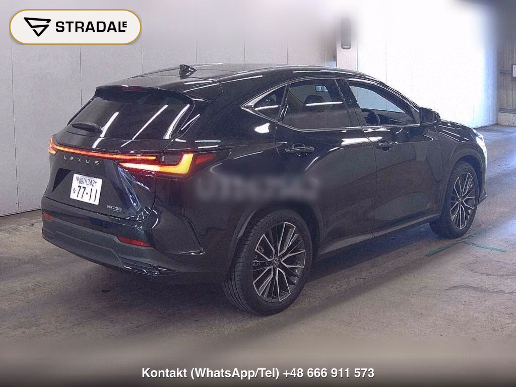 LEXUS NX NX250 VERSION L, miniaturka 6