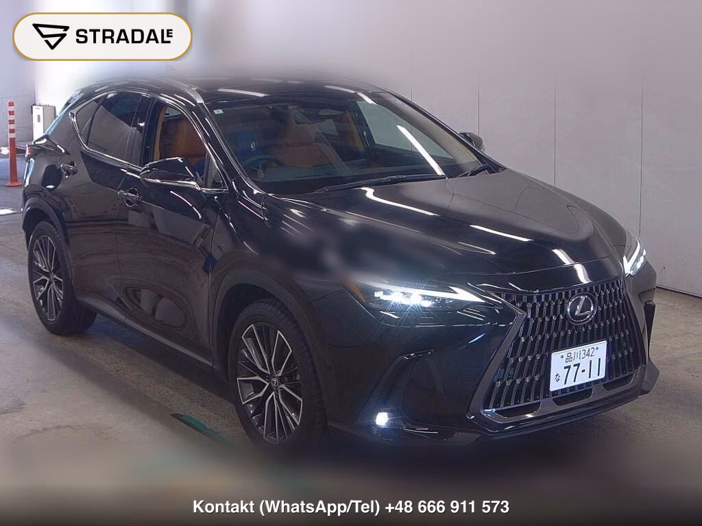 LEXUS NX NX250 VERSION L 2024, aukcja z Japonii, zdjęcie 1