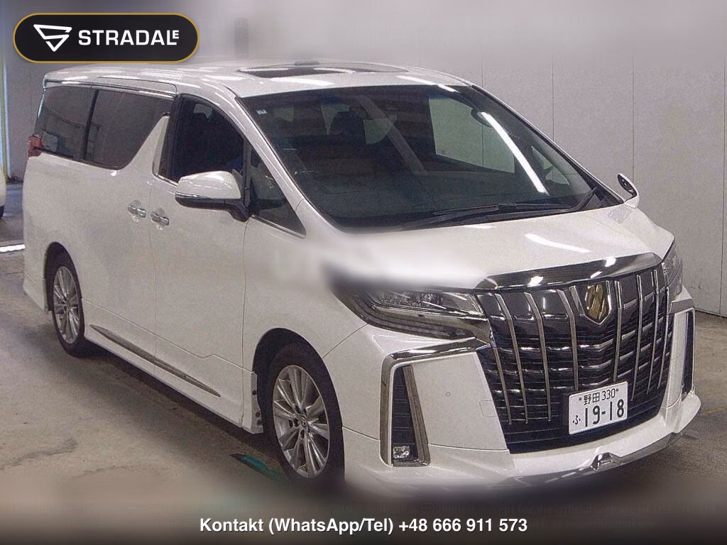 TOYOTA ALPHARD 2.5S TYPE GOLD, miniaturka 2