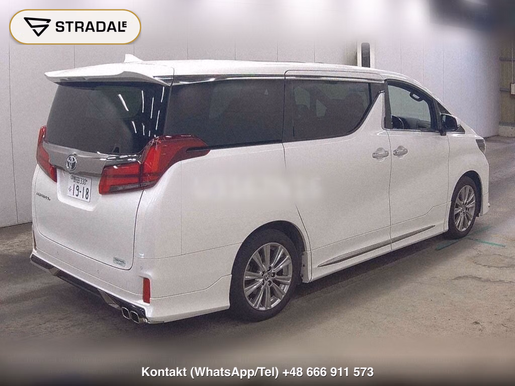 TOYOTA ALPHARD 2.5S TYPE GOLD, miniaturka 6