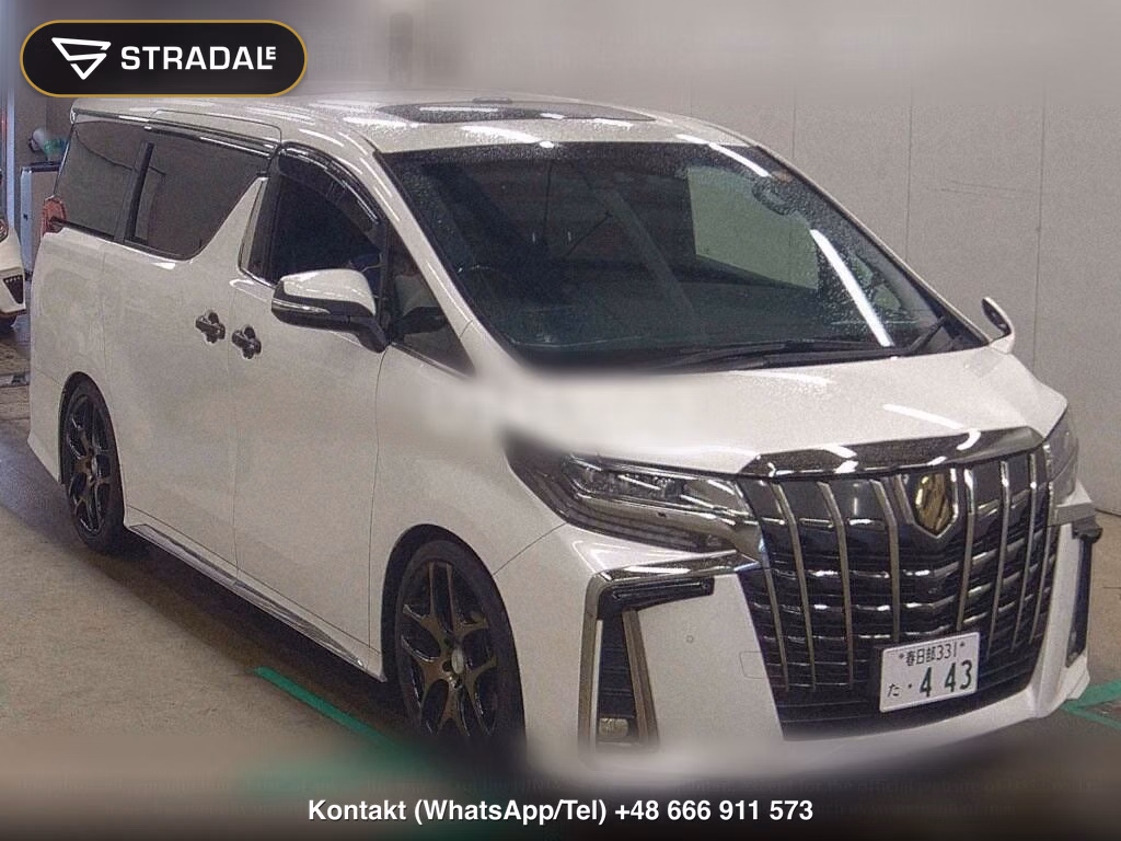 TOYOTA ALPHARD 2.5S TYPE GOLD, miniaturka 2