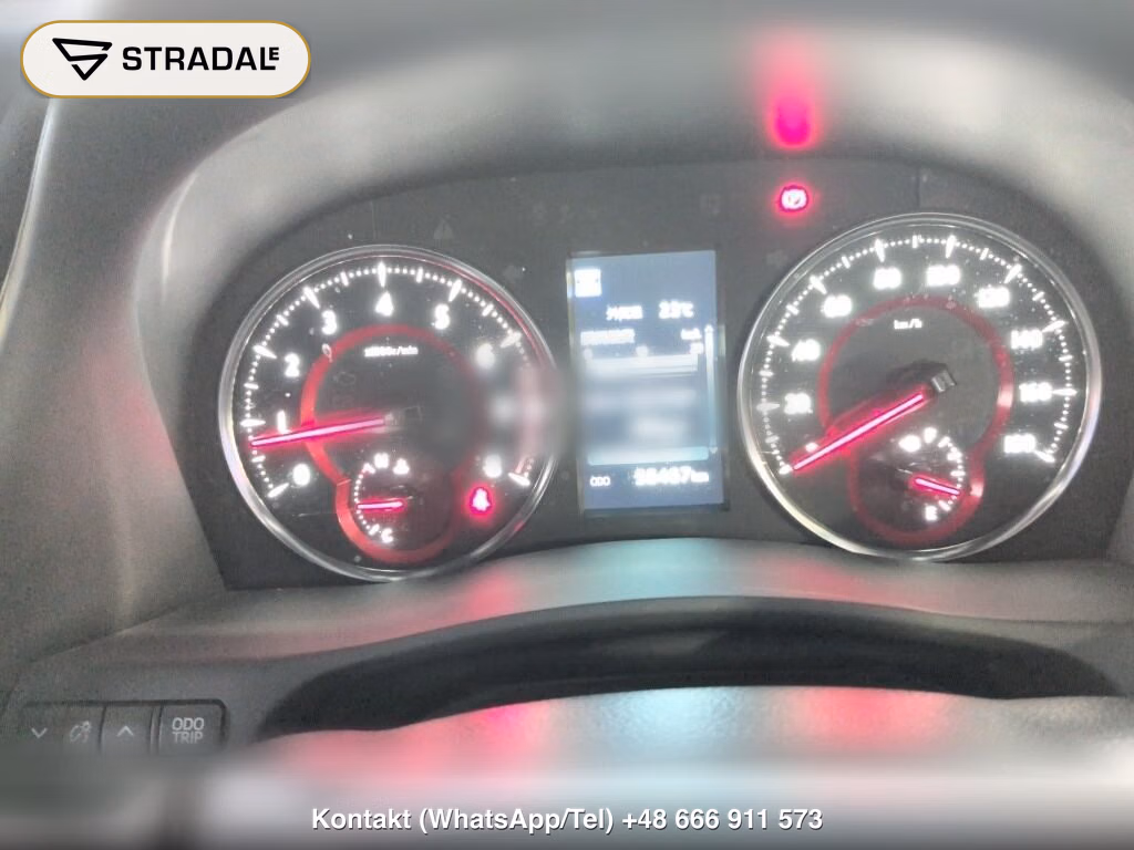 TOYOTA ALPHARD 2.5S TYPE GOLD, miniaturka 7