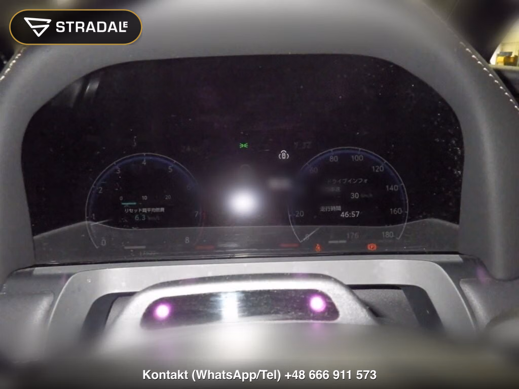 TOYOTA ALPHARD Z, miniaturka 7