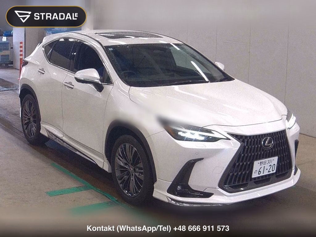 LEXUS NX NX250 VERSION L, miniaturka 2