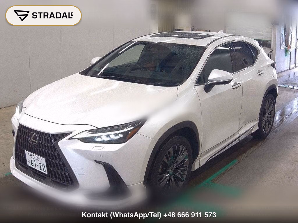 LEXUS NX NX250 VERSION L, miniaturka 5