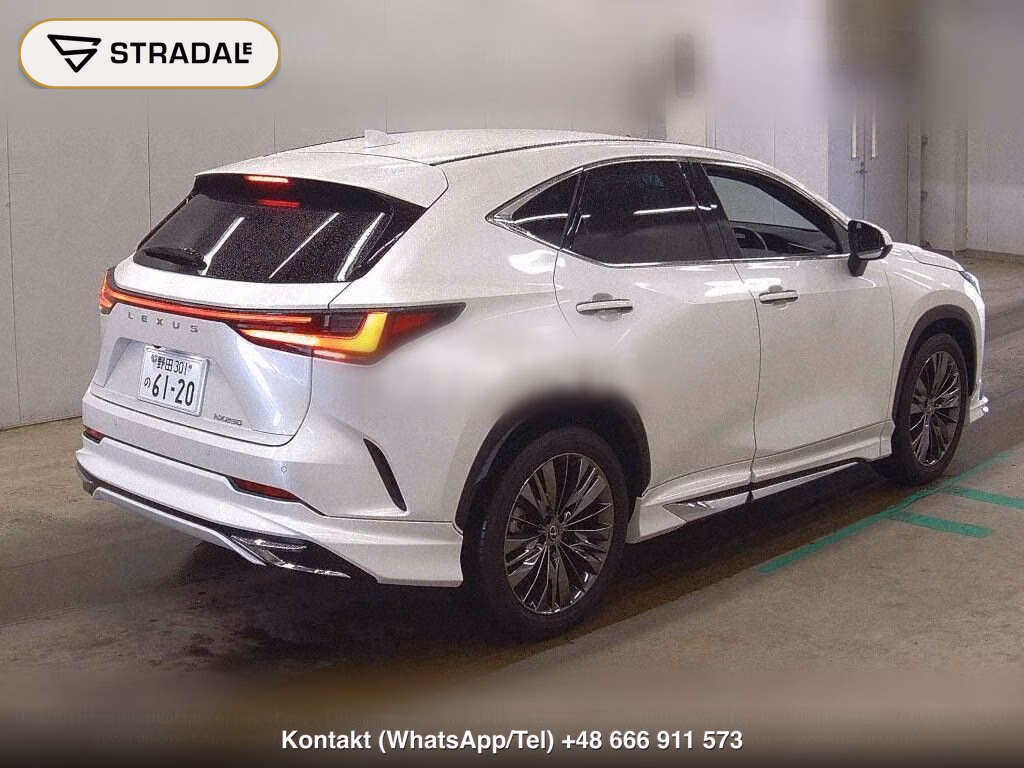 LEXUS NX NX250 VERSION L, miniaturka 6
