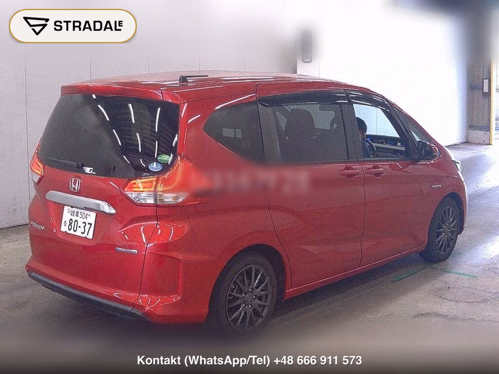 HONDA FREED PLUS HYBRID HYBRID G･HONDA SENSING, miniaturka 6