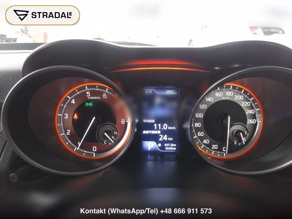 SUZUKI SWIFT SPORT ZC33S FINAL EDITION, miniaturka 7