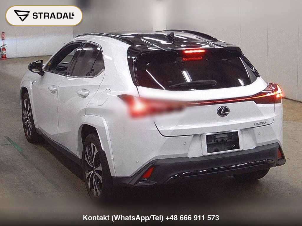 LEXUS UX UX250H F SPORT EMOTIONAL EXPLORER, miniaturka 3