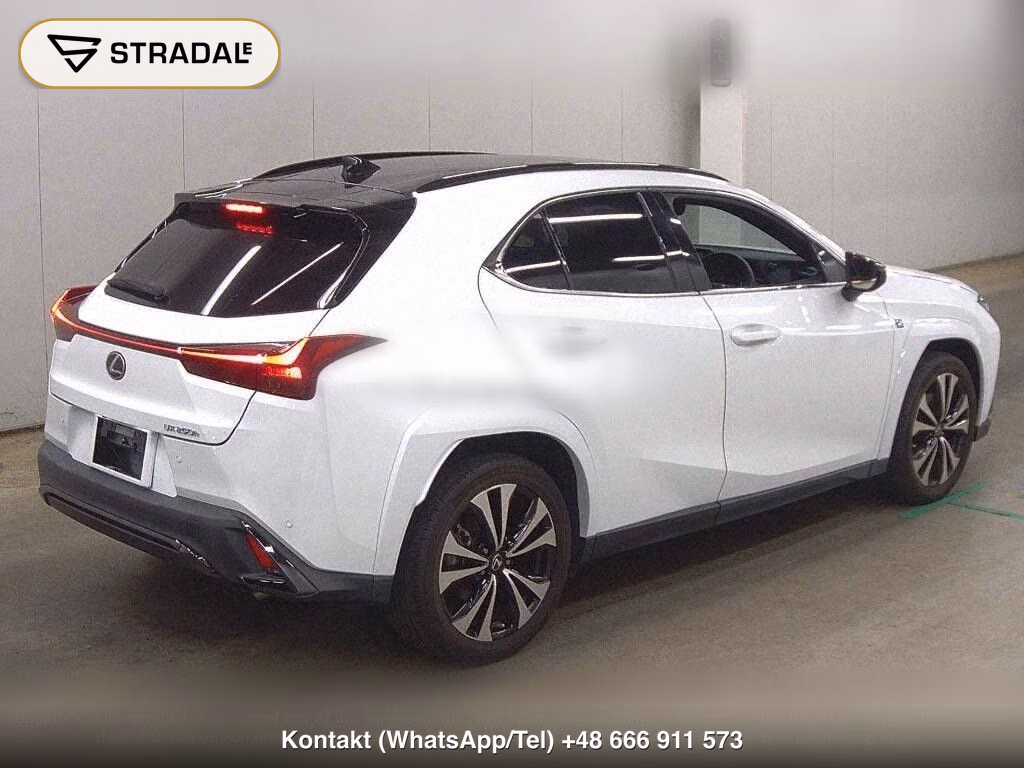 LEXUS UX UX250H F SPORT EMOTIONAL EXPLORER, miniaturka 6