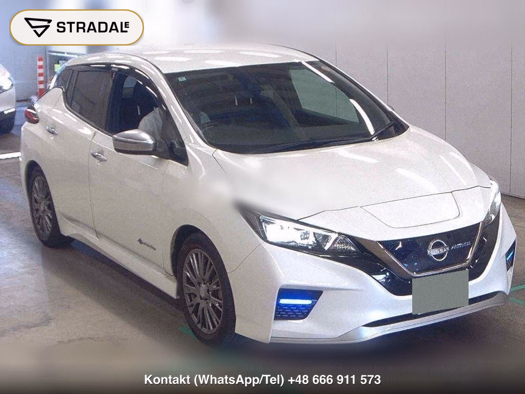 NISSAN LEAF AUTECH, miniaturka 2