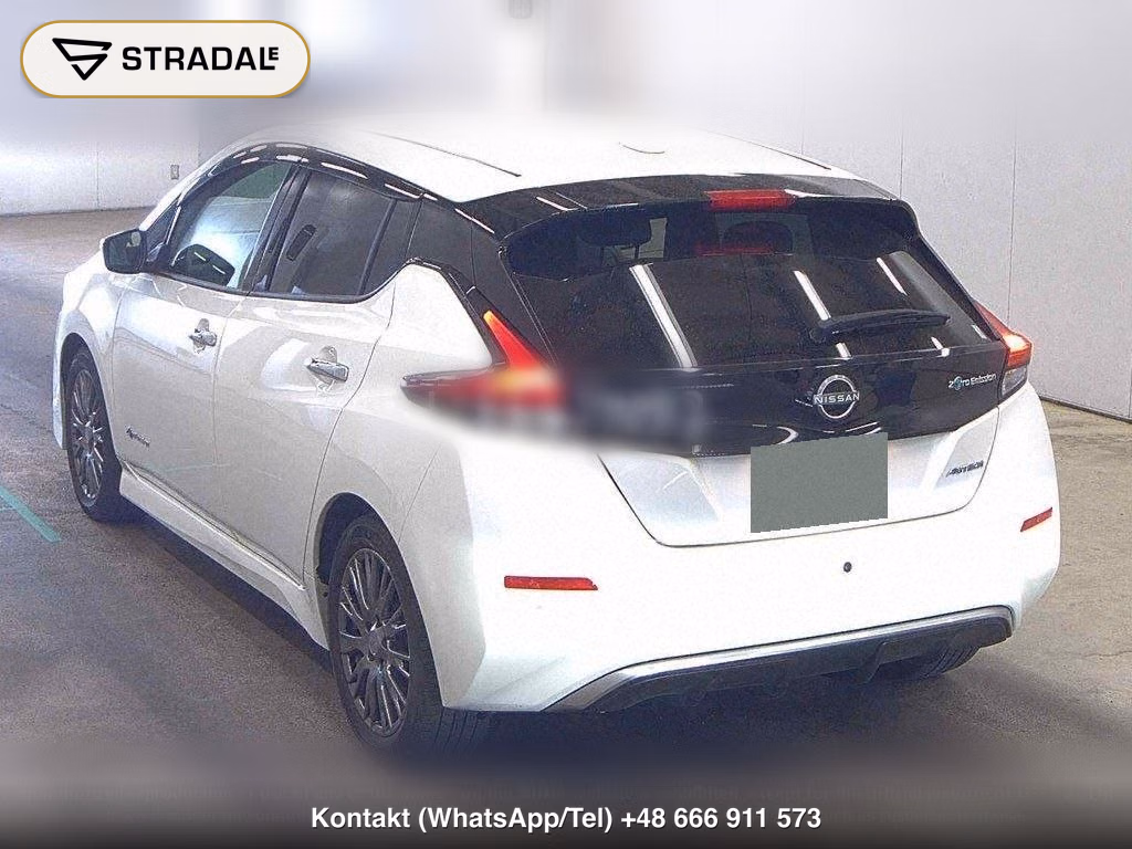 NISSAN LEAF AUTECH, miniaturka 3