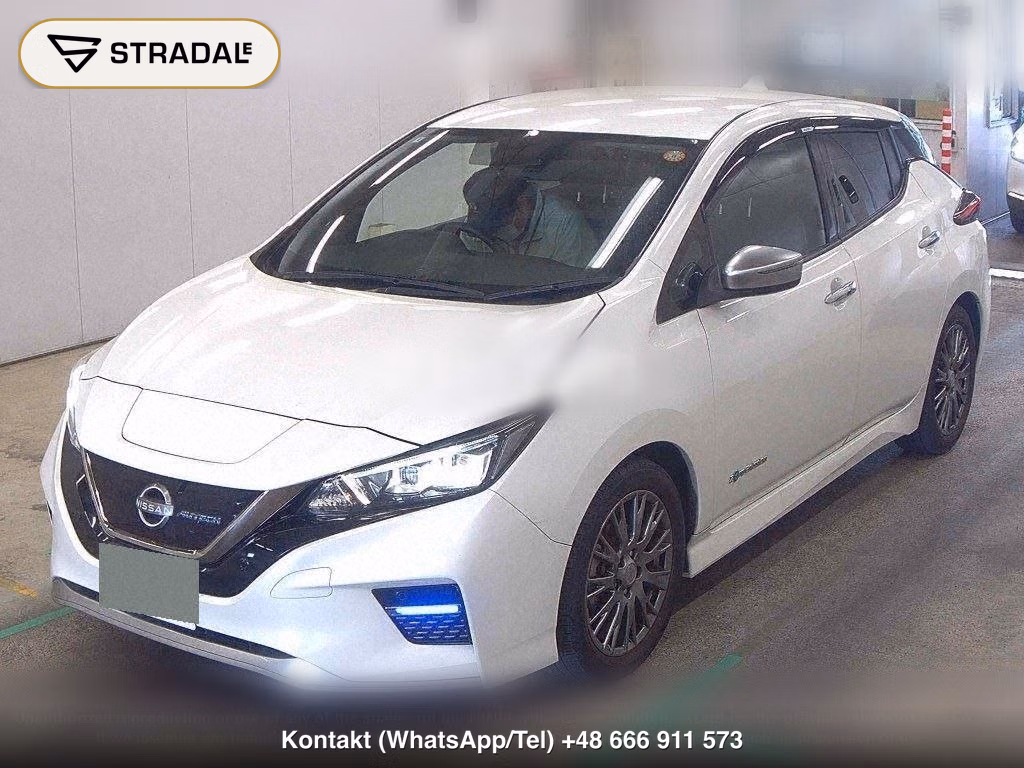 NISSAN LEAF AUTECH, miniaturka 5