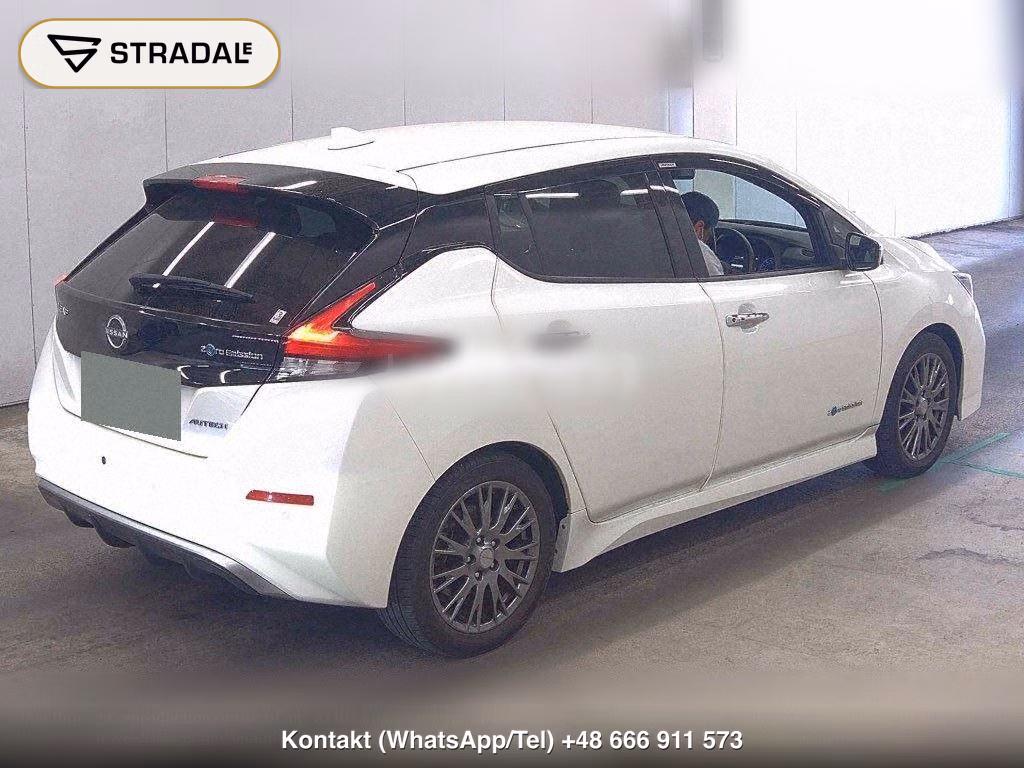 NISSAN LEAF AUTECH, miniaturka 6