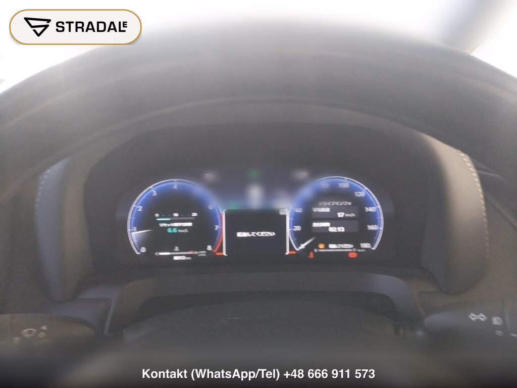 TOYOTA ALPHARD Z, miniaturka 7