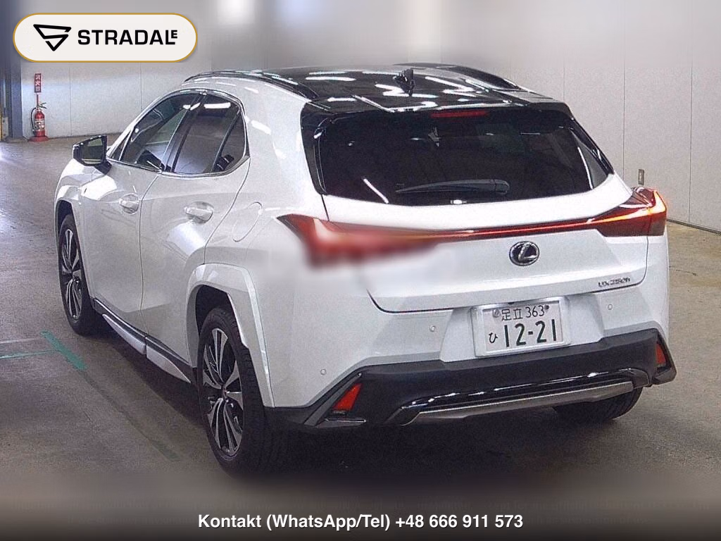 LEXUS UX UX250H F SPORT EMOTIONAL EXPLORER, miniaturka 3