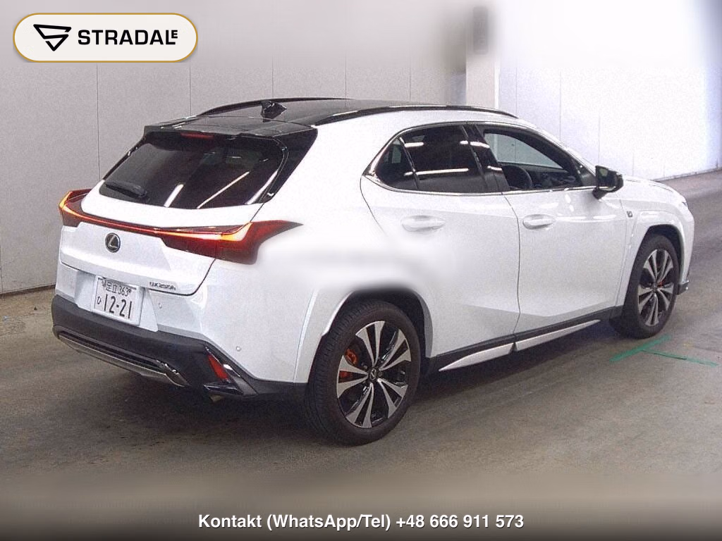 LEXUS UX UX250H F SPORT EMOTIONAL EXPLORER, miniaturka 6