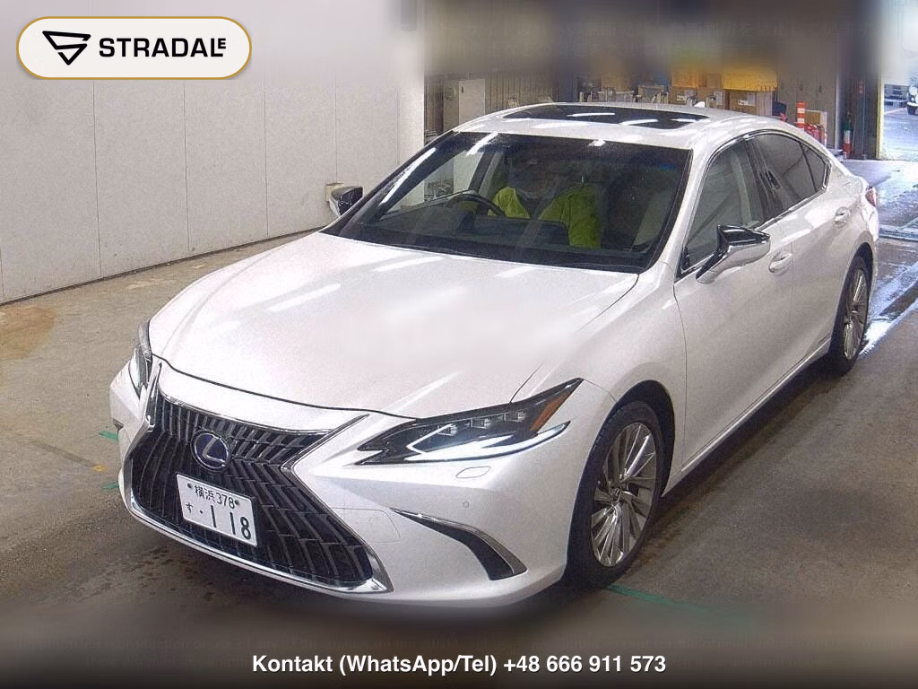 LEXUS ES ES300H VERSION L, miniaturka 5