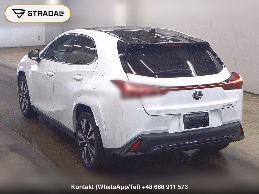 LEXUS UX UX250H F SPORT EMOTIONAL EXPLORER, miniaturka 3