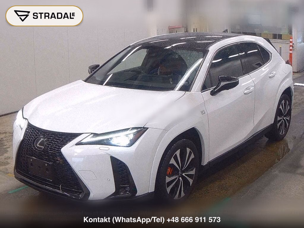 LEXUS UX UX250H F SPORT EMOTIONAL EXPLORER, miniaturka 5