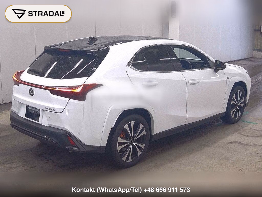 LEXUS UX UX250H F SPORT EMOTIONAL EXPLORER, miniaturka 6