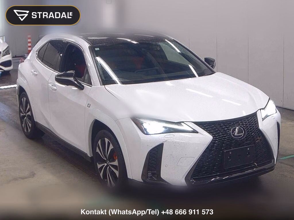 LEXUS UX UX250H F SPORT EMOTIONAL EXPLORER 2023, aukcja z Japonii, zdjęcie 1