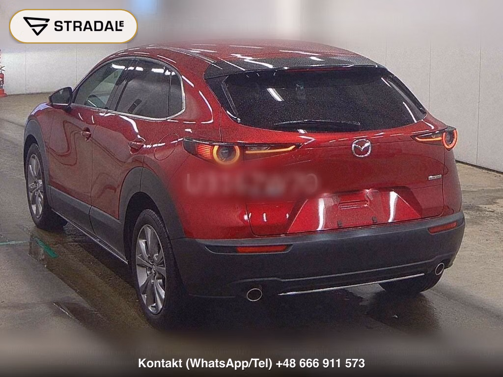 MAZDA CX-30 20S PROACTIVE TOURING SELECTION, miniaturka 3