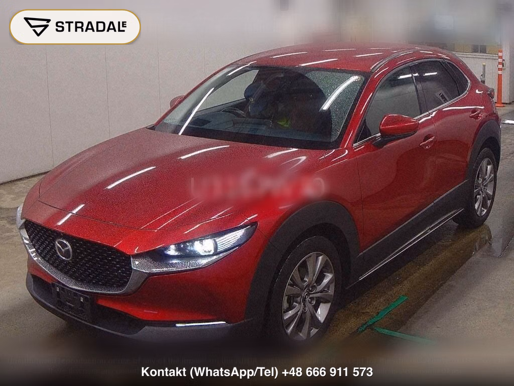 MAZDA CX-30 20S PROACTIVE TOURING SELECTION, miniaturka 5