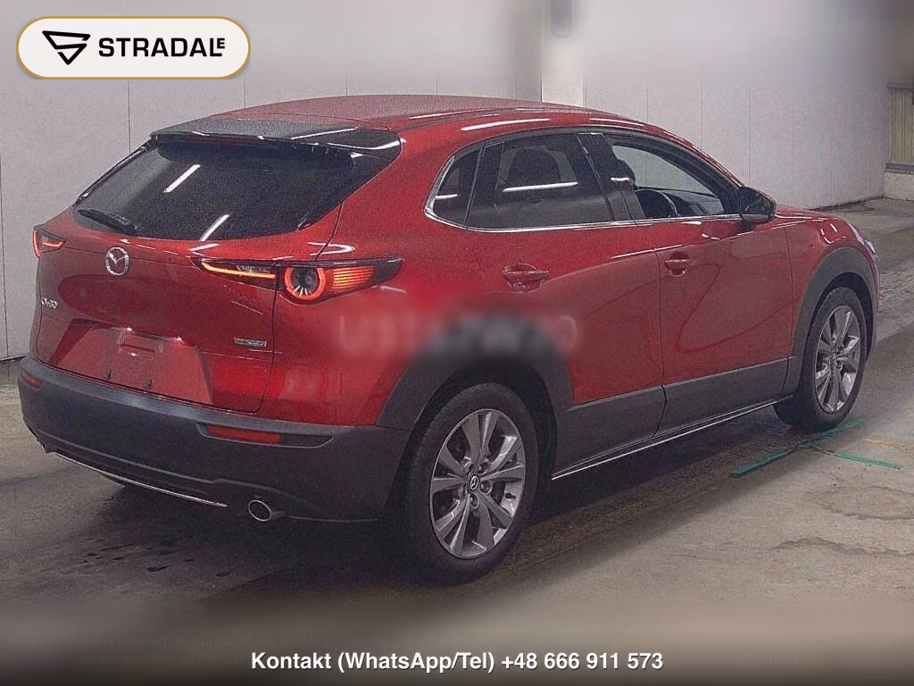 MAZDA CX-30 20S PROACTIVE TOURING SELECTION, miniaturka 6