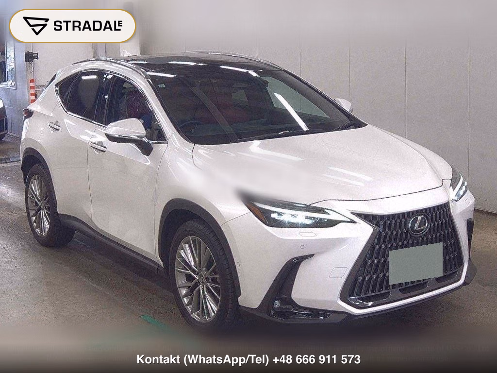 LEXUS NX 4WD NX350H VERSION L, miniaturka 2