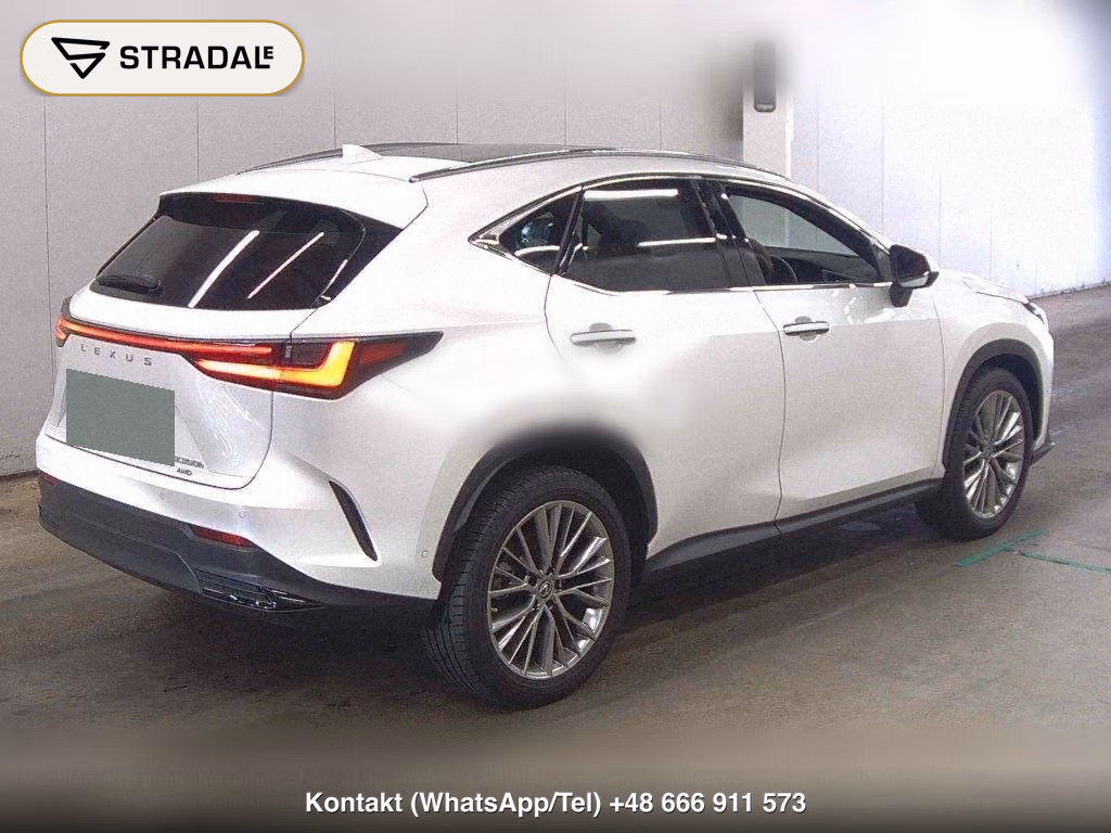 LEXUS NX 4WD NX350H VERSION L, miniaturka 6