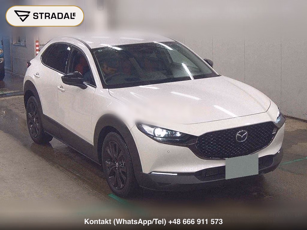 MAZDA CX-30 20S RETRO SPORTS EDITION, miniaturka 2